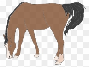 Horse Eating Clip Art - Transparent PNG Free Download