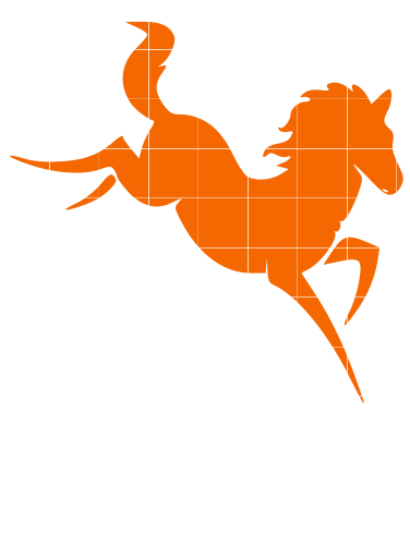 Horse Bucking-bb21 - Horse - Transparent PNG Free Download