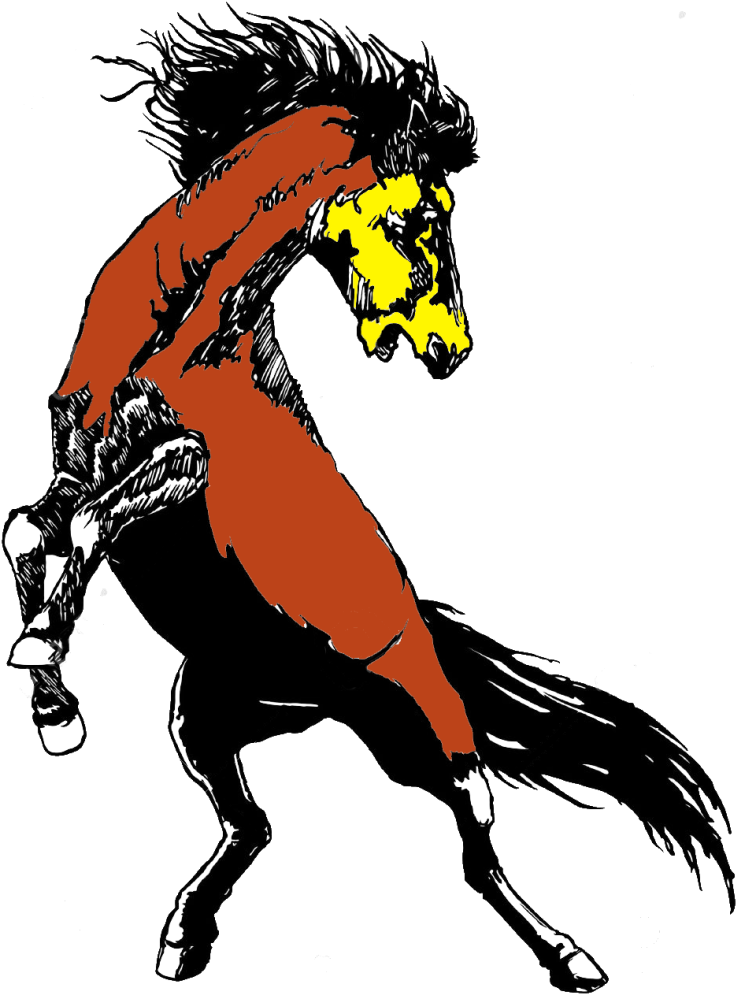 Wild Horse Terms - Horse - Transparent PNG Free Download