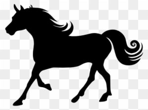 Horse Mane, Animals, Side View, Horses, Horse, Horse - Horse Vector - Transparent PNG Free Download