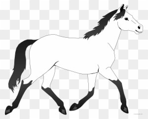Horse Outline Animal Free Black White Clipart Images - Mustang Horse Coloring Pages - Transparent PNG Free Download