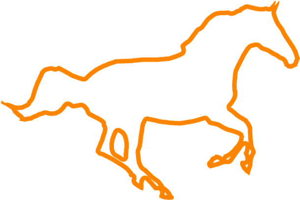 I Hold A - Horse - Transparent PNG Free Download