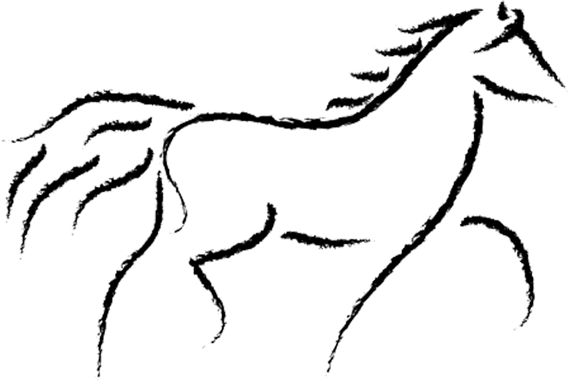 Equine Anatomy And Biomechanics - Running Horse Sketch - Transparent PNG Free Download