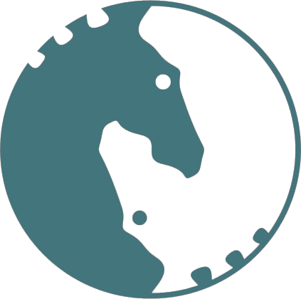Horseyinyangeye - Yinyang Horse - Transparent PNG Free Download