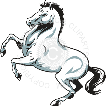 Rearing Stallion Horse - Rearing Horse Shower Curtain - Transparent PNG Free Download