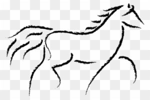 Equine Anatomy And Biomechanics - Running Horse Sketch - Transparent PNG Free Download