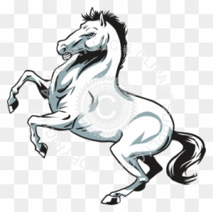 Rearing Stallion Horse - Rearing Horse Shower Curtain - Transparent PNG Free Download