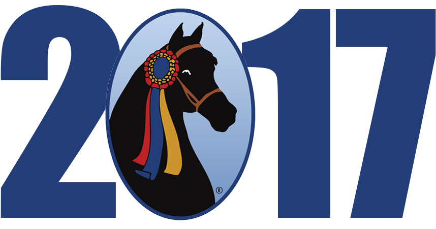 2017 Grand National & World Championship Morgan Horse - Horse - Transparent PNG Free Download