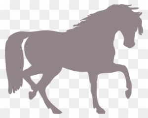 Horse Silhouette Clip Art - Transparent PNG Free Download