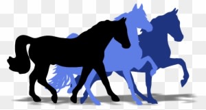 Super Horse Usa - Horse - Transparent PNG Free Download