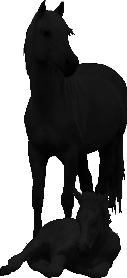 Click On Any Photo For Larger Picture/slideshow To - Horse - Transparent PNG Free Download