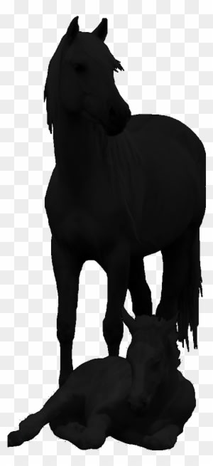 Click On Any Photo For Larger Picture/slideshow To - Horse - Transparent PNG Free Download