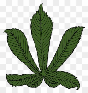 Free Horse Chestnut Leaf - Horse Chestnut Leaf Transparent - Transparent PNG Free Download