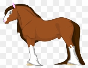 Shire Horse For Sale Taken By Skylandacresstables On - Shire Horse Clipart - Transparent PNG Free Download