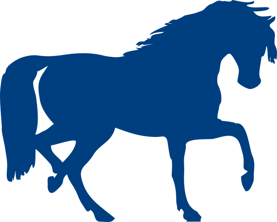 Free Image On Pixabay - Horse Silhouette Clip Art - Transparent PNG Free Download