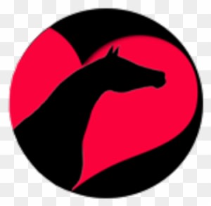 Miniature Horses - Horse - Transparent PNG Free Download