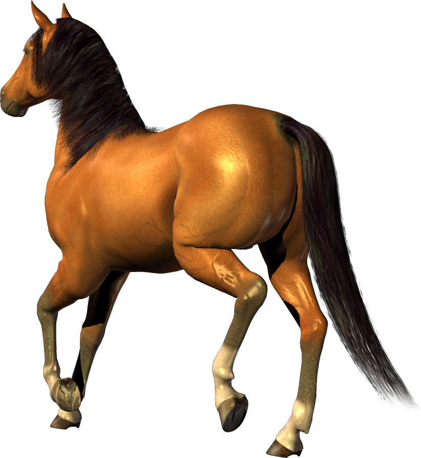 Png Image - Horse With Transparent Background - Transparent PNG Free Download