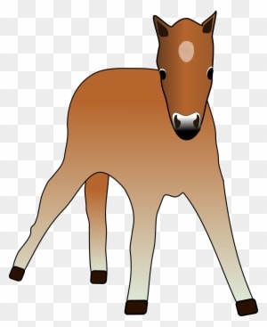 Foal - Horse Clipart - Transparent PNG Free Download
