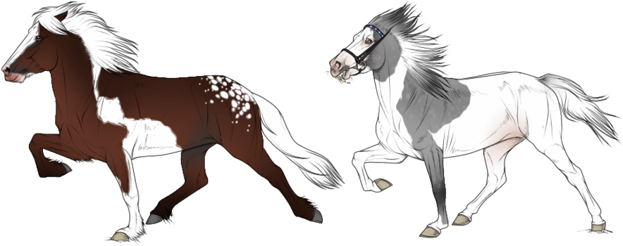 Icelandic Horse Clipart - Icelandic Horse Drawing - Transparent PNG Free Download