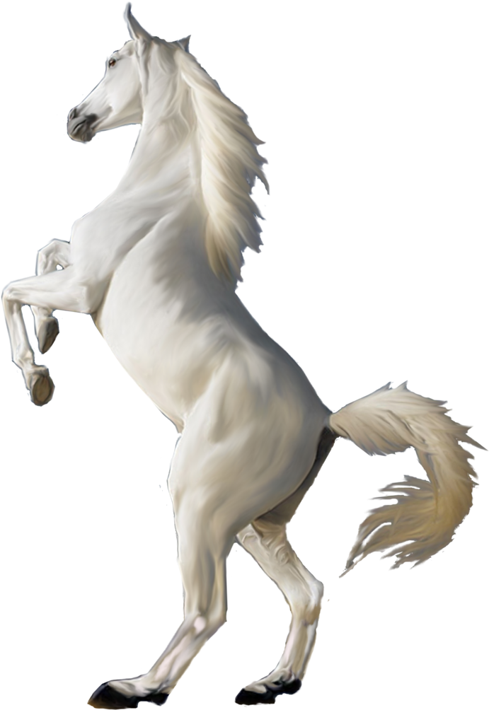 Horse White Clipart Png Jumping - White Horse Png - Transparent PNG Free Download
