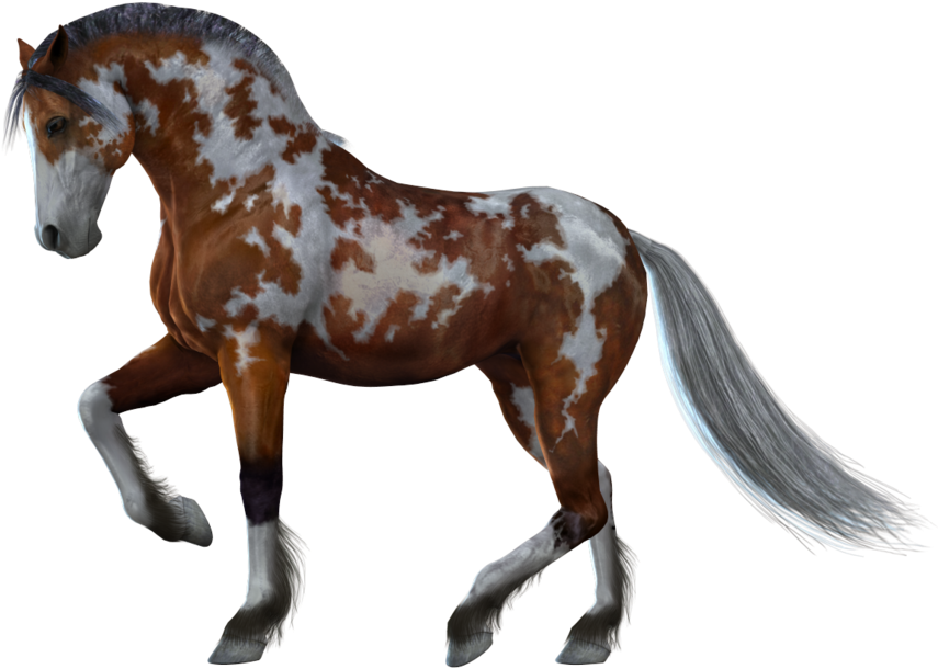 Horse Png Images - Horse With White Background - Transparent PNG Free Download