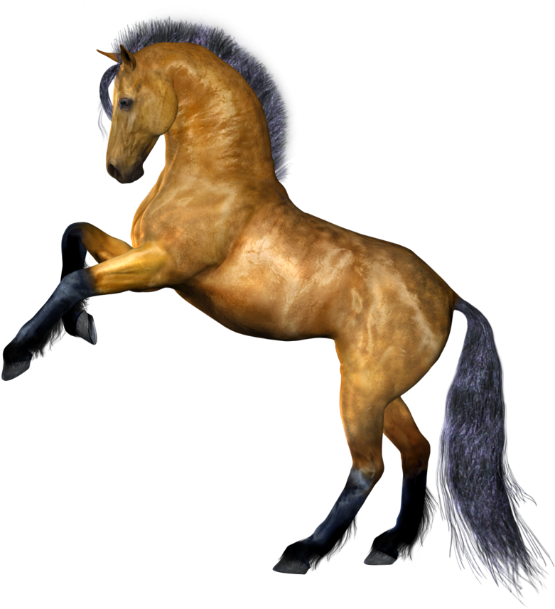 Horse Transparent Background - Transparent PNG Free Download