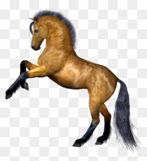 Horse Transparent Background - Transparent PNG Free Download
