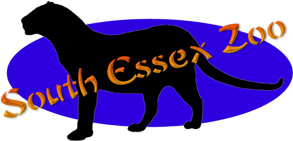 South Essex Zoo Is A Small, Recently Opened Zoo Owned - Horse - Transparent PNG Free Download