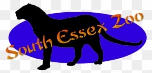 South Essex Zoo Is A Small, Recently Opened Zoo Owned - Horse - Transparent PNG Free Download