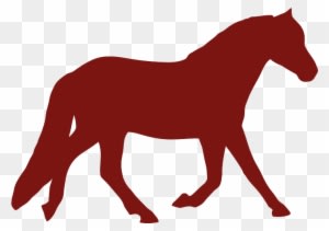 Ve Lo Vtt Randonne E Peche Tennis Cheval Ulm Accrobranche - Horse - Transparent PNG Free Download