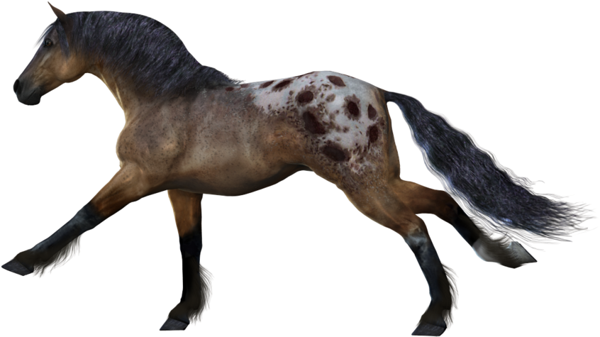 Horse Clipart Transparent Background - Horse - Transparent PNG Free Download