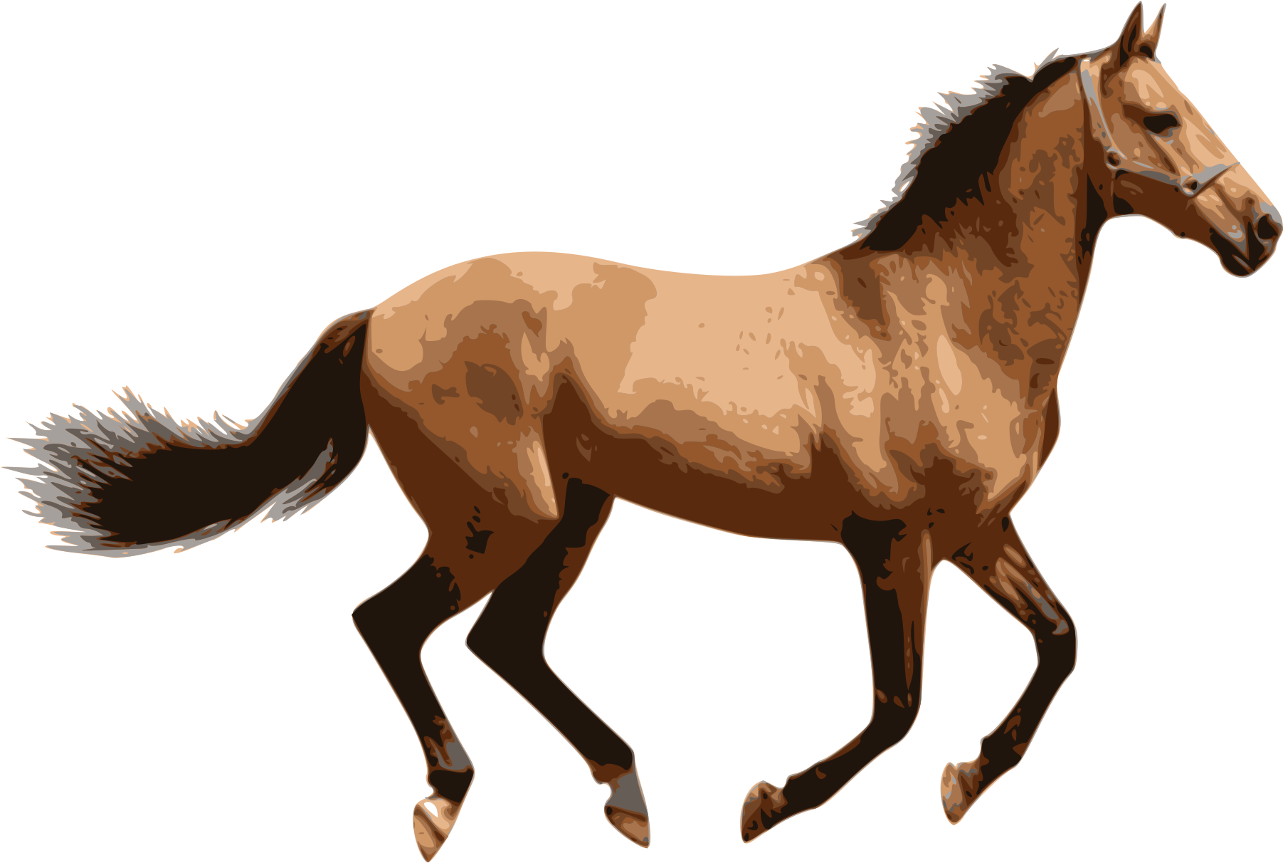 Caballo - Horse Png - Transparent PNG Free Download