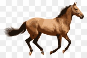 Caballo - Horse Png - Transparent PNG Free Download