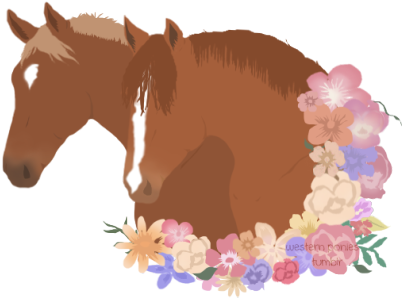 @sdequus - Horse Transparent - Transparent PNG Free Download