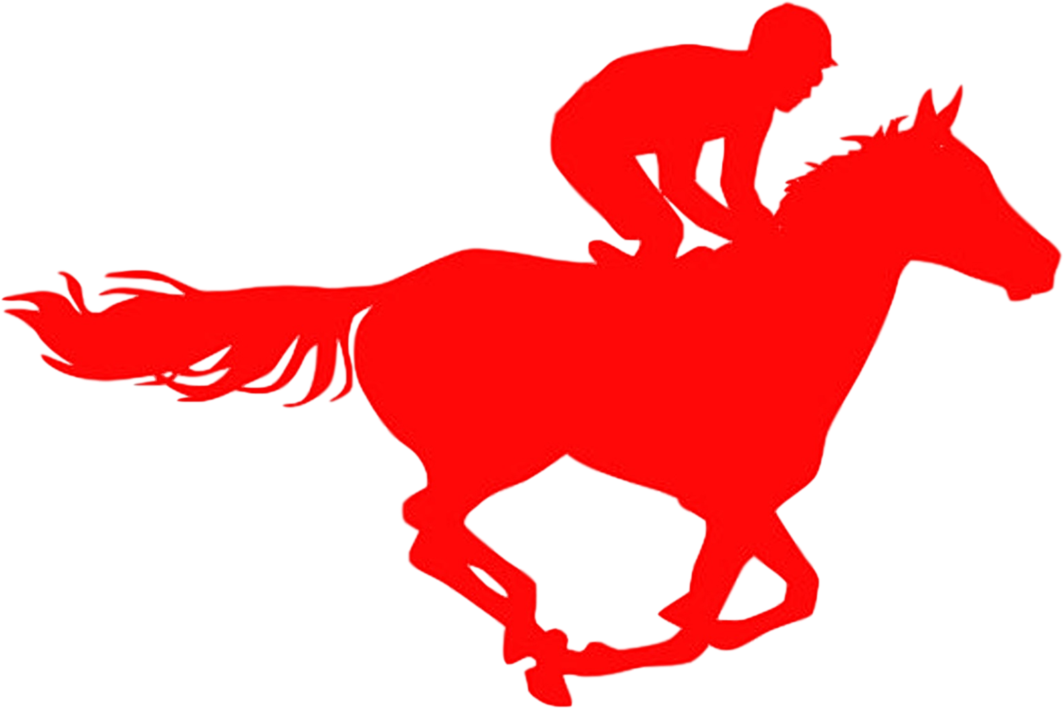 H2h Derby Event For Charity - Horse - Transparent PNG Free Download