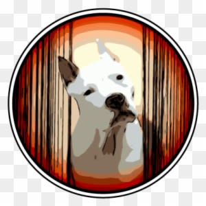 Shadow Red Shōgun - Devon Horse Show - Transparent PNG Free Download