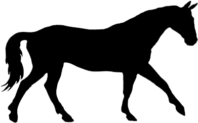 Silhouette Of A Horse - Transparent PNG Free Download