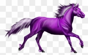 Purple - Purple Horse Drawing - Transparent PNG Free Download