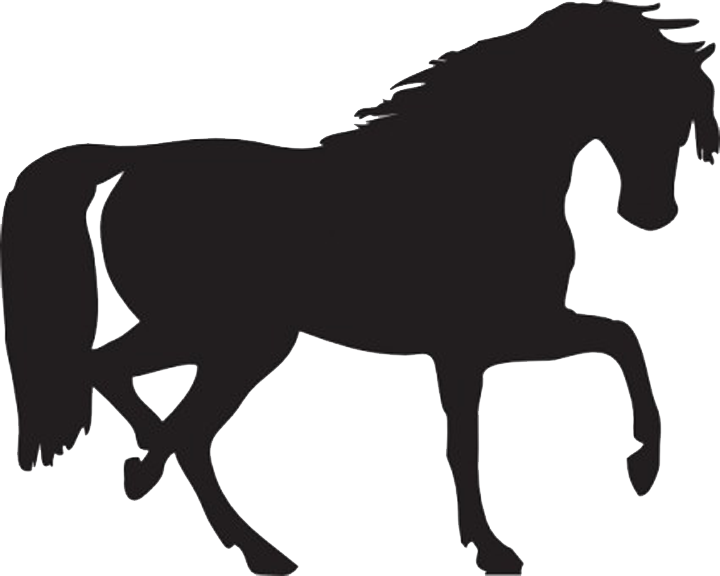 Equine Anatomy And Biomechanics - Horse Silhouette Clip Art - Transparent PNG Free Download
