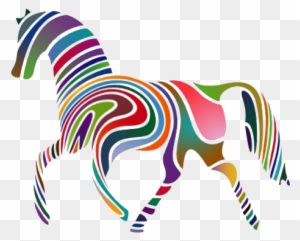 Equine Anatomy And Biomechanics - Horse Of A Different Color Idiom - Transparent PNG Free Download