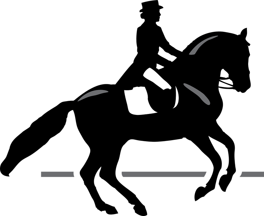 Horse Riding Clipart - Race Horse Silhouette Png - Transparent PNG Free Download