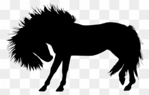 Animal Equine Horse Silhouette Stallion Wi - Horse Silhouette - Transparent PNG Free Download