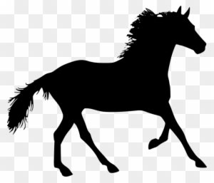 The Horse, Konik, Galop, Jump, Animal, Runs, The Stroke - Horse Silhouette - Transparent PNG Free Download