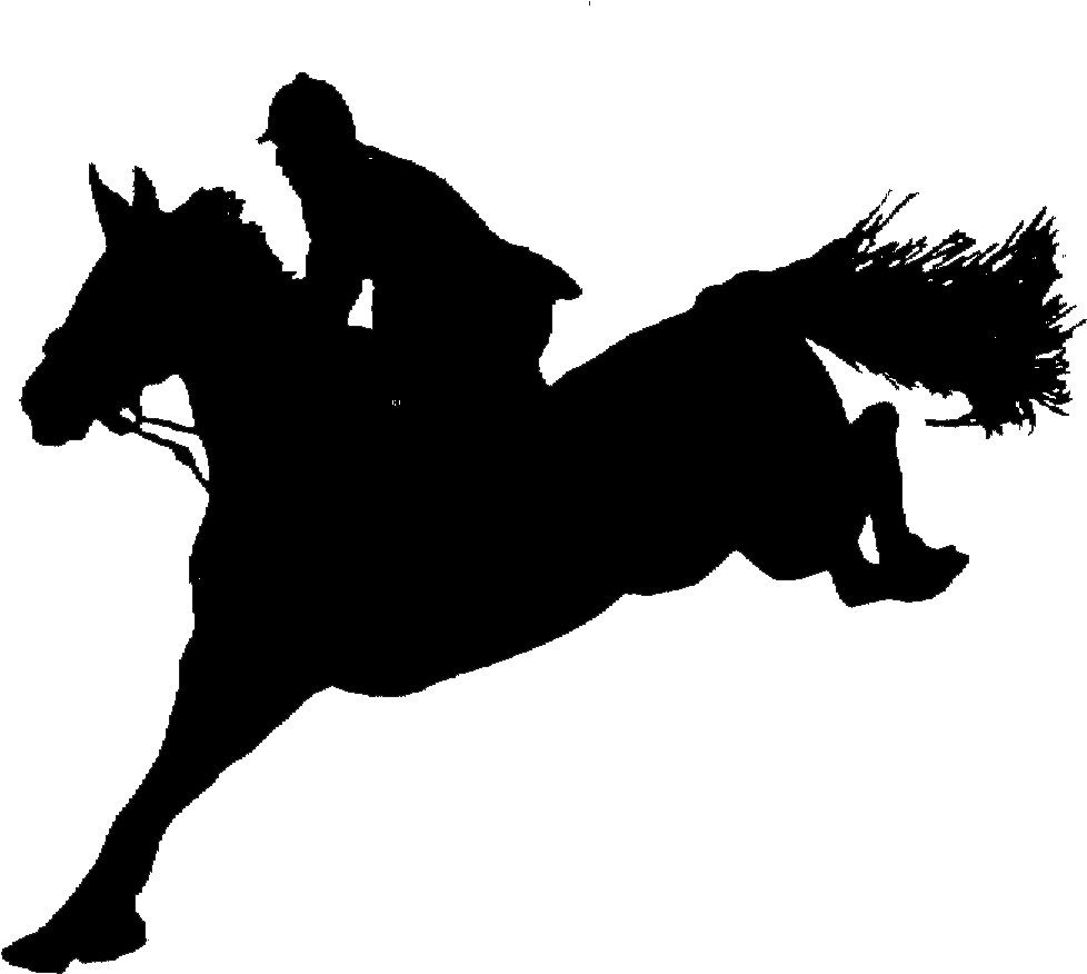 Local/unrecognized Shows Are Shows Operated On A Local - Jumping Horse Silhuet Transparent - Transparent PNG Free Download