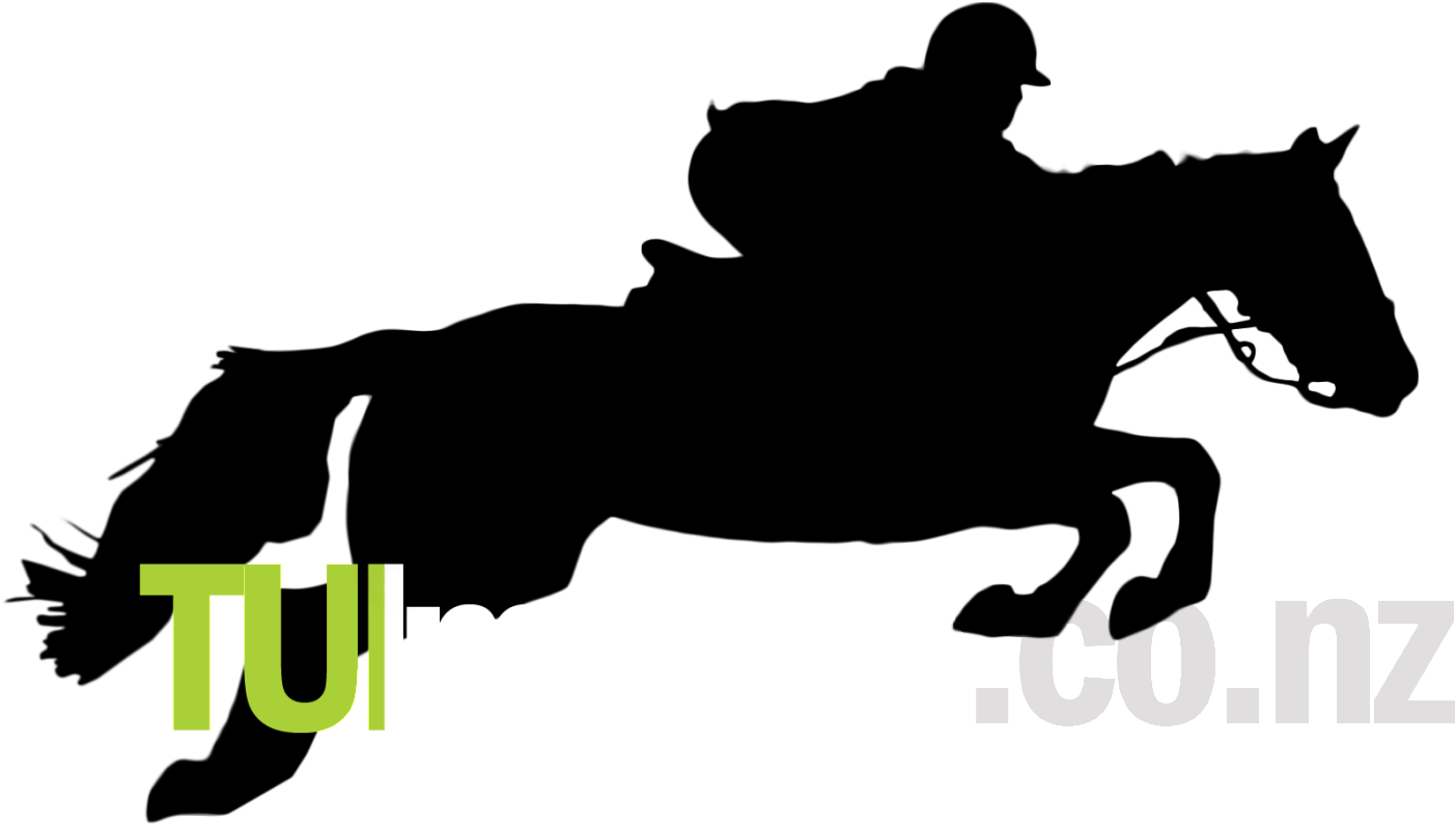 Jumping Horse - Transparent PNG Free Download