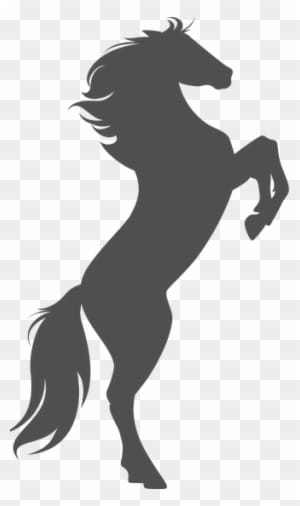 Contact - Rearing Horse Silhouette - Transparent PNG Free Download