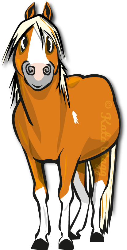 Wir Haben Große Pferde Für Große Reiter, Kleine Pferde - Horse - Transparent PNG Free Download