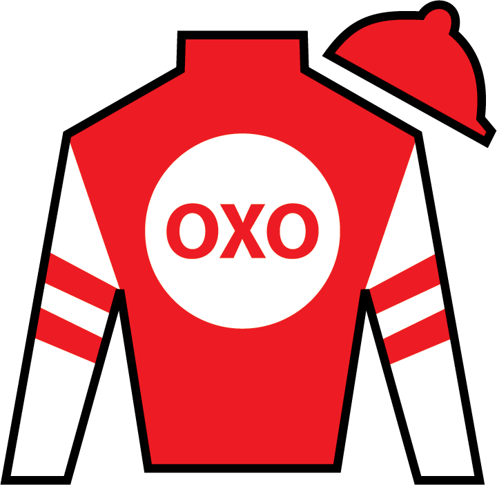 Instilled Regard Oxo Equine - China Horse Club Silks - Transparent PNG Free Download