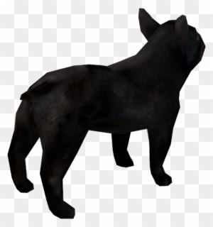 Schleich Black Arabian Horse - Transparent PNG Free Download