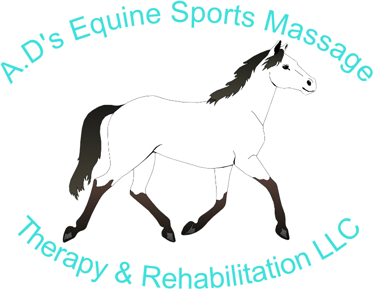 Ad's Equine Sports Massage, Therapy And Rehabilitation, - Mustang Horse Coloring Pages - Transparent PNG Free Download